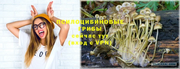 mdma Лиски